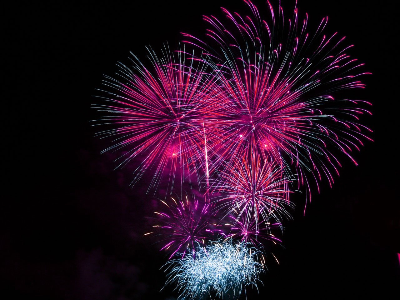 Pink and Blue Fireworks Display during Night Time