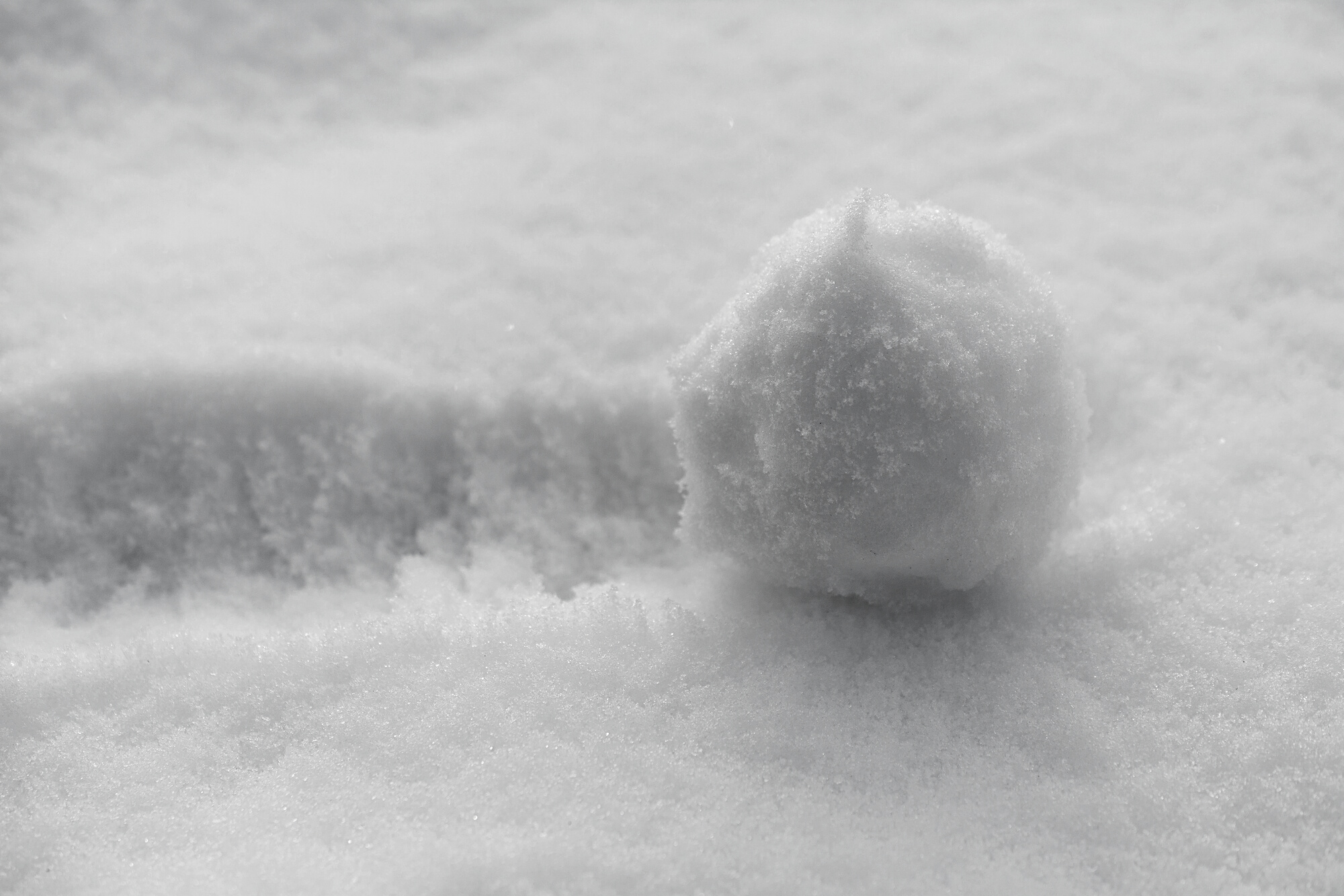 the snowball rolls
